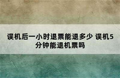 误机后一小时退票能退多少 误机5分钟能退机票吗